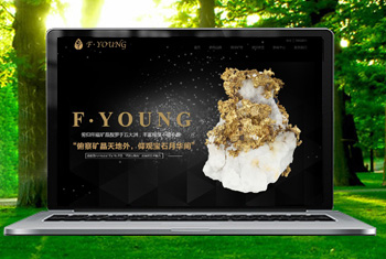 �𻪸������ﱦʯ